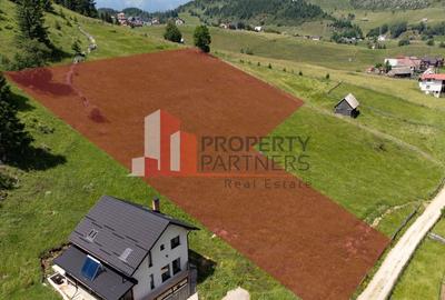 Teren Fundatica intravilan 4500 mp - 2