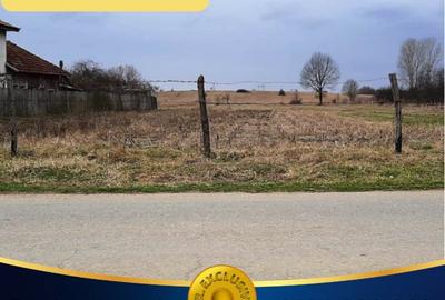 TEREN INTRAVILAN SI EXTRAVILAN POLOVRAGI - BENGEASCA - 1