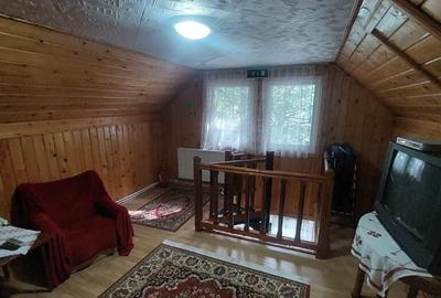 Pensiune turistica (afacere la cheie) Lepsa - 32