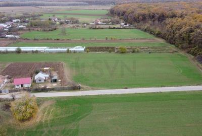 Teren intravilan de Balta Neagra l Nuci l Codrii Vlasiei Teren intravilan de Balta Neagra l Nuci l Codrii Vlasiei - 1