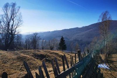 Teren de 1425 mp, în Valea Doftanei