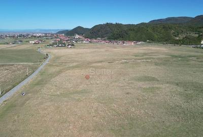 Teren de 14500 mp, în Sud