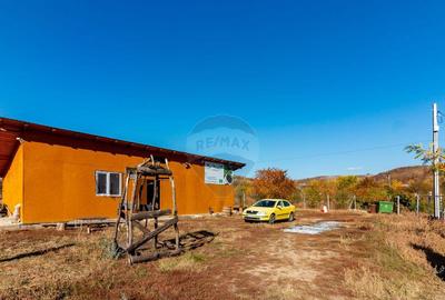 Oportunitate de investitie - Teren de vanzare I 4 ha I ce... - 2