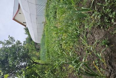 Vand casa str. 1Mai Vand casa str. 1Mai - 2