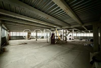 Spațiu industrial, de 4,000 mp, în Central - 19