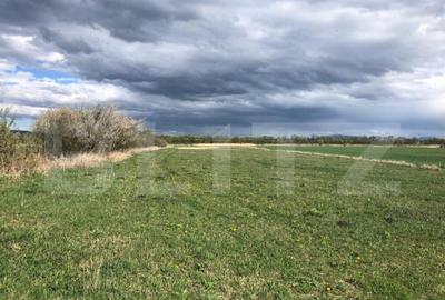 De vanzare teren extravilan 50.000 mp De vanzare teren extravilan 50.000 mp - 2