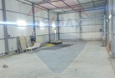 Spațiu industrial, de 160 mp, în Mirceștii Noi - 4