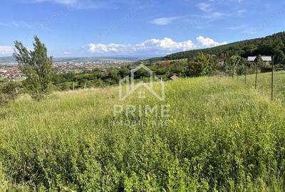 TEREN INTRAVILAN 972 MP, ALBA MICESTI - 1