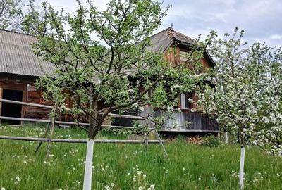Spațiu comercial, în Valea - 5