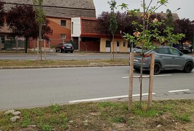 Spațiu comercial, de 40 mp, în Mehala - 2