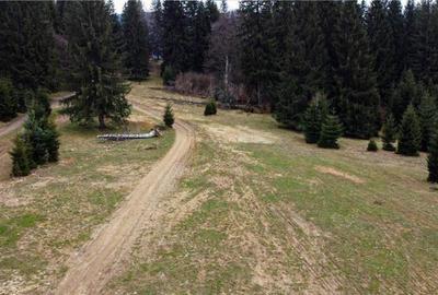 FILM! 1.000 mp,PUZ,regim P 2 M,destinatii turistice rezident - 6