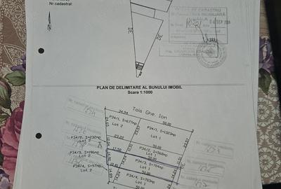 Teren în Cazasu - 1