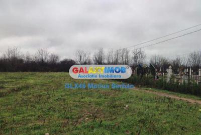 Teren extravilan Targoviste - 4