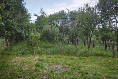 Casa batraneasca in Bretcu (Covasna) la schimb cu garsoniera in orasul Brasov - 6