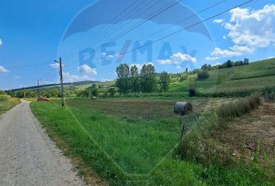Teren de 2000 mp, în Lăureni - 4