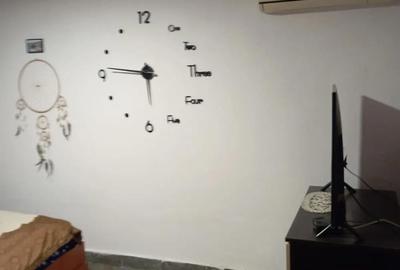 Casă cu 2 camere cu Teren 266 Mp în Cărămidari - 6