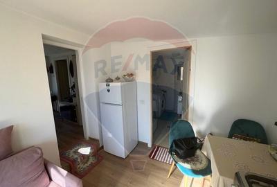 Casa Golesti cu 2 camere- teren 1296mp - 15