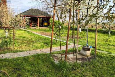 Casă cu 5 camere cu Teren 4000 Mp în Florești - 4