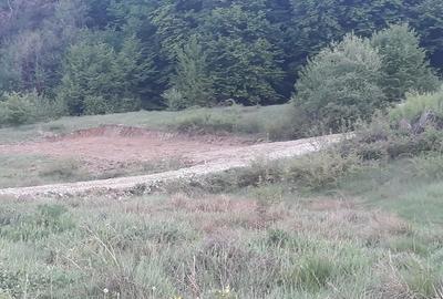 Teren de 807 mp, în Schiau - 1