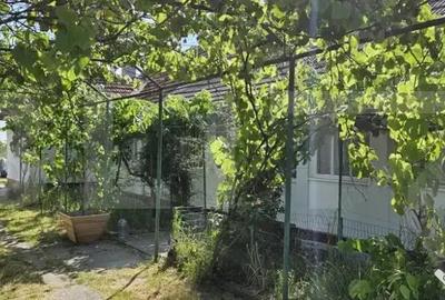 Casă cu 3 camere cu Teren 2985 Mp în Nițchidorf - 3