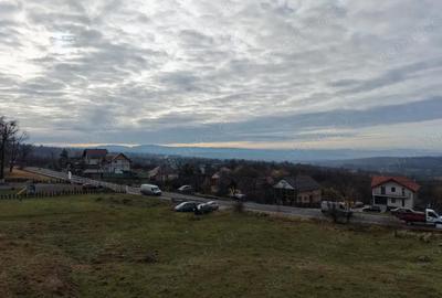 Teren în Șișești - 5