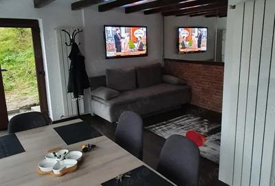 Casă cu 2 camere cu Teren 700 Mp în Sălicea - 1