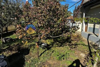 Casa + teren 919 mp Dumbrava Ro?ie, jud. Neam? - 3