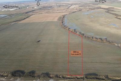 Teren Construcții intravilan de 3800 mp, în Moșnița Nouă