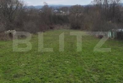 Teren Construcții intravilan de 3000 mp, în Plopu