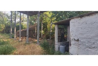 Teren de 1000 mp, în Gemenele - 15