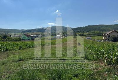 Teren Construcții intravilan de 5100 mp, în Micești - 3