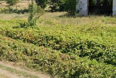 Teren de 4200 mp, în Țigănași