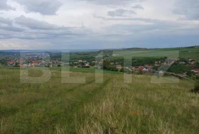 Teren de 1249 mp, în Copăceni - 2