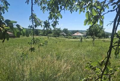 Teren de 1200 mp, în Ionășeni (Vârfu Câmpului) - 3