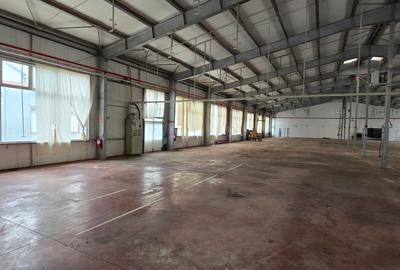 Spatii industriale  si comerciale  de inchiriat Focsani 5000 mp - 13