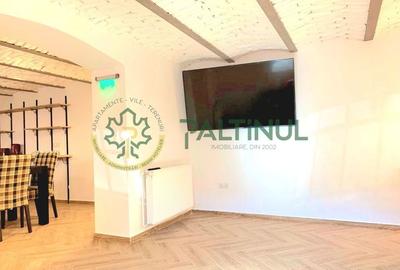 Apartamente Regim hotelier cu rezervari incluse in Sibiu - 14