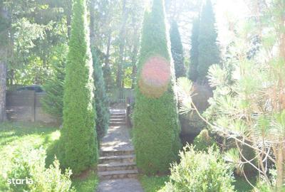 Casă cu 4 camere decomandat cu Teren 462 Mp în Cioplea - 2