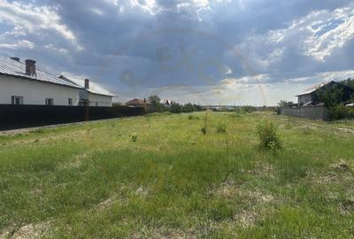 Teren Construcții intravilan de 3474 mp, în Bradu - 1