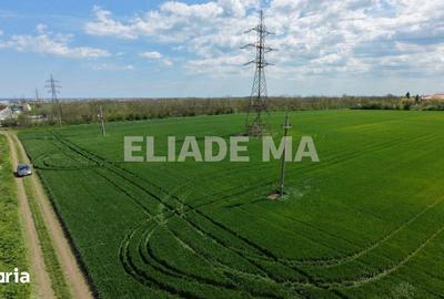 Teren de 5000 mp, în Central
