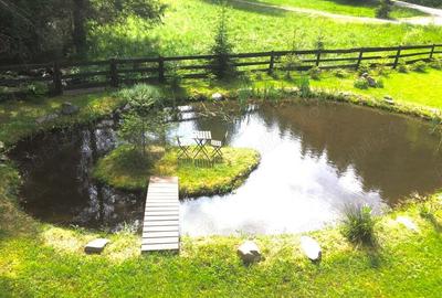 Casa din grinzi pe marginea paraului Borzont - 10