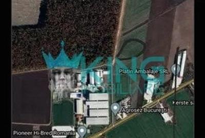 Teren Construcții intravilan de 20000 mp, în Găneasa