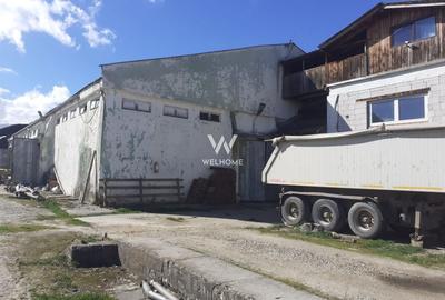 Spatiu industrial-baza depozitare cu cale ferata-Arpasu de Jos - Sibiu - 5
