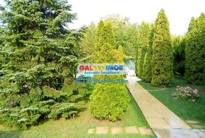 Vila splendida, o reala oaza de liniste intre lacul si padurea SNAGOV - 40