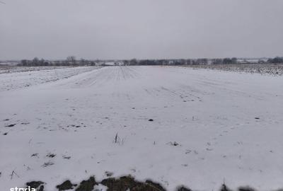 Teren de 6000 mp, în Horodnic - 4