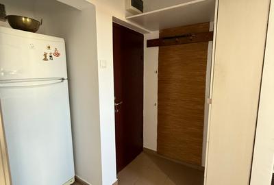 Apartament cu 2 camere semidecomandat, mobilat în Drumul Taberei - 17