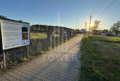 OPORTUNITATE la Ocna Sibiului - Teren Casa/Cabana langa Lacul Fara Fund - 4