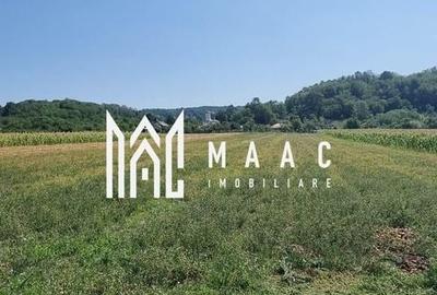 CASA LADESTI-VALCEA| RENOVATA SI MOBILATA| 5000 MP TEREN - 16