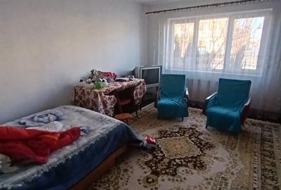 Vila pe strada Vasile Lupu - Ultracentral - 18