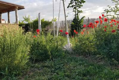 Casă cu 3 camere în Tărtășești - 4