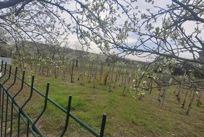 Casă cu 3 camere în Bulzești - 3